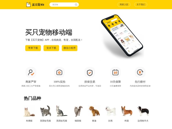 买只宠物